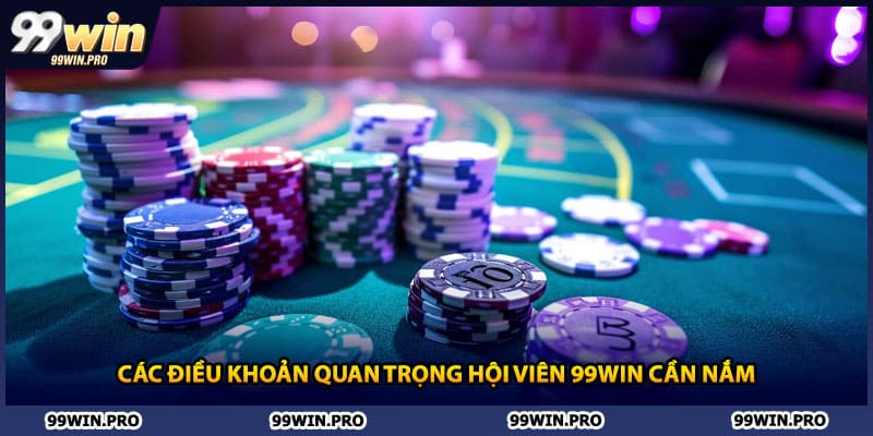 Các điều khoản quan trọng hội viên 99WIN cần nắm