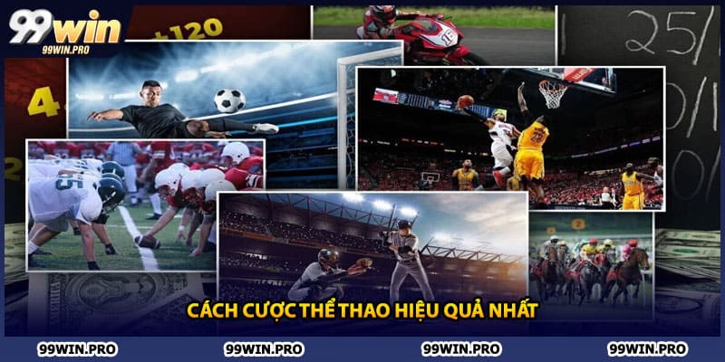 Cách cược thể thao hiệu quả nhất