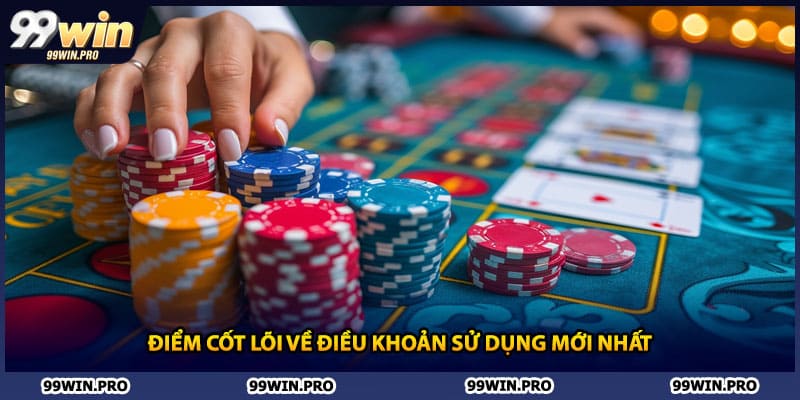 Điểm cốt lõi về điều khoản sử dụng mới nhất