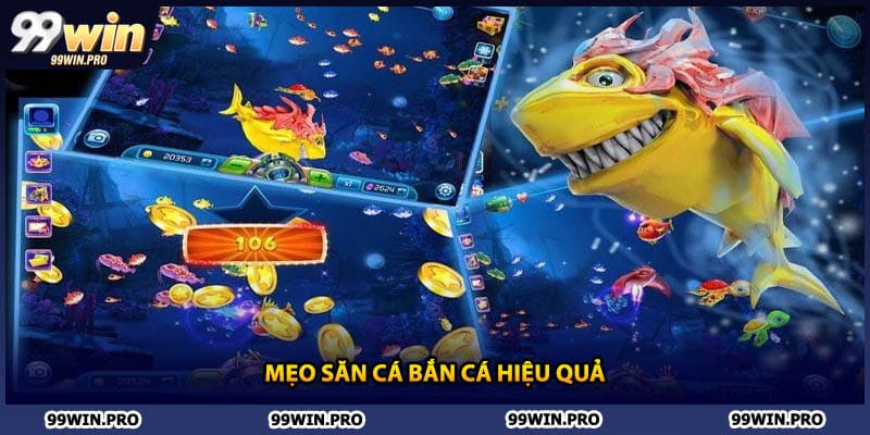 Mẹo săn cá bắn cá hiệu quả